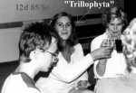 Trillophyta 1985/86