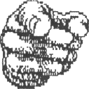 Fingerzeig