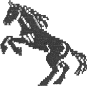 Pferd