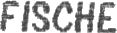 Horoskop - Fische